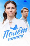 Полёт птицы
