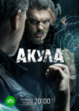 Акула