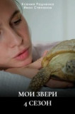 Мои звери 4 сезон