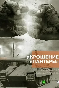 Укрощение «Пантеры»